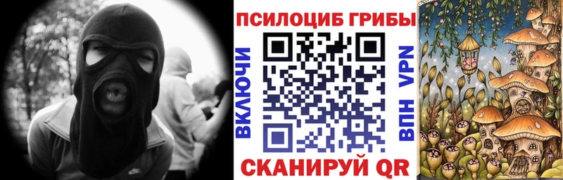 как найти закладки  Олонец  Галлюциногенные грибы Psilocybine cubensis 